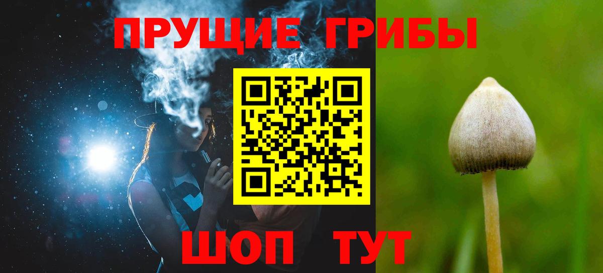 Псилоцибиновые грибы Magic Shrooms  Вход с VPN  Аксай  Псилоцибиновые грибы Psilocybine cubensis 